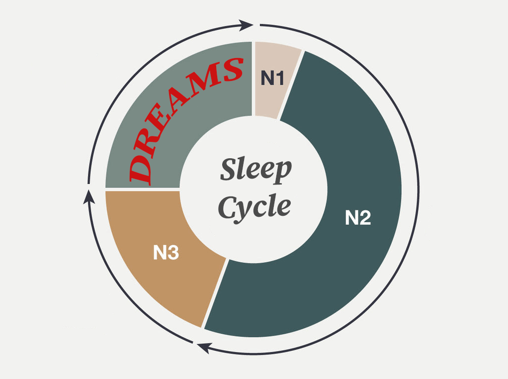 ლუციდური სიზმარი